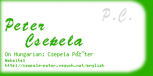 peter csepela business card